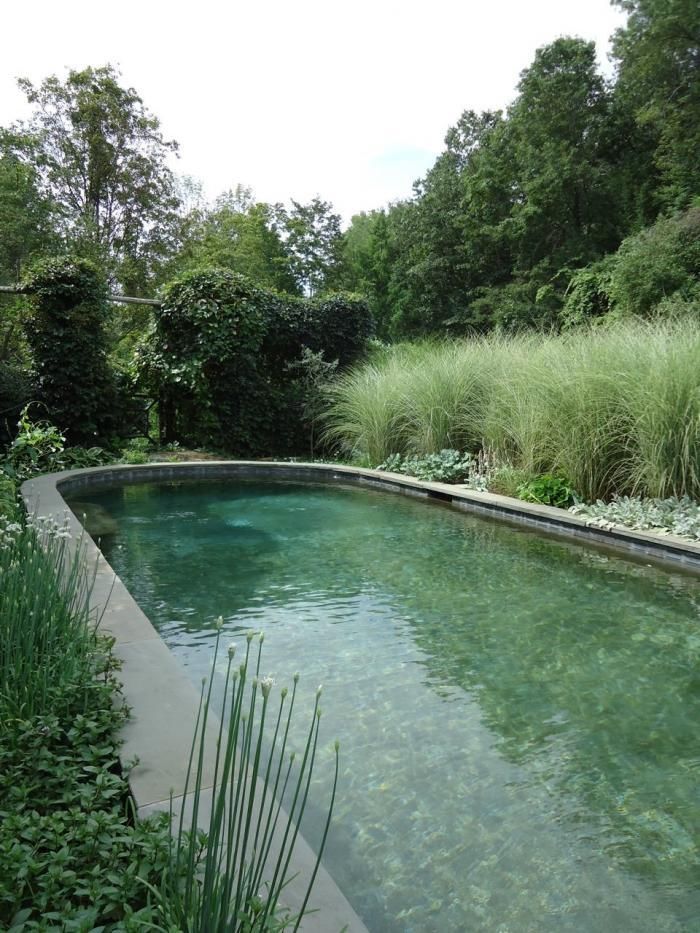 piscina verde trend